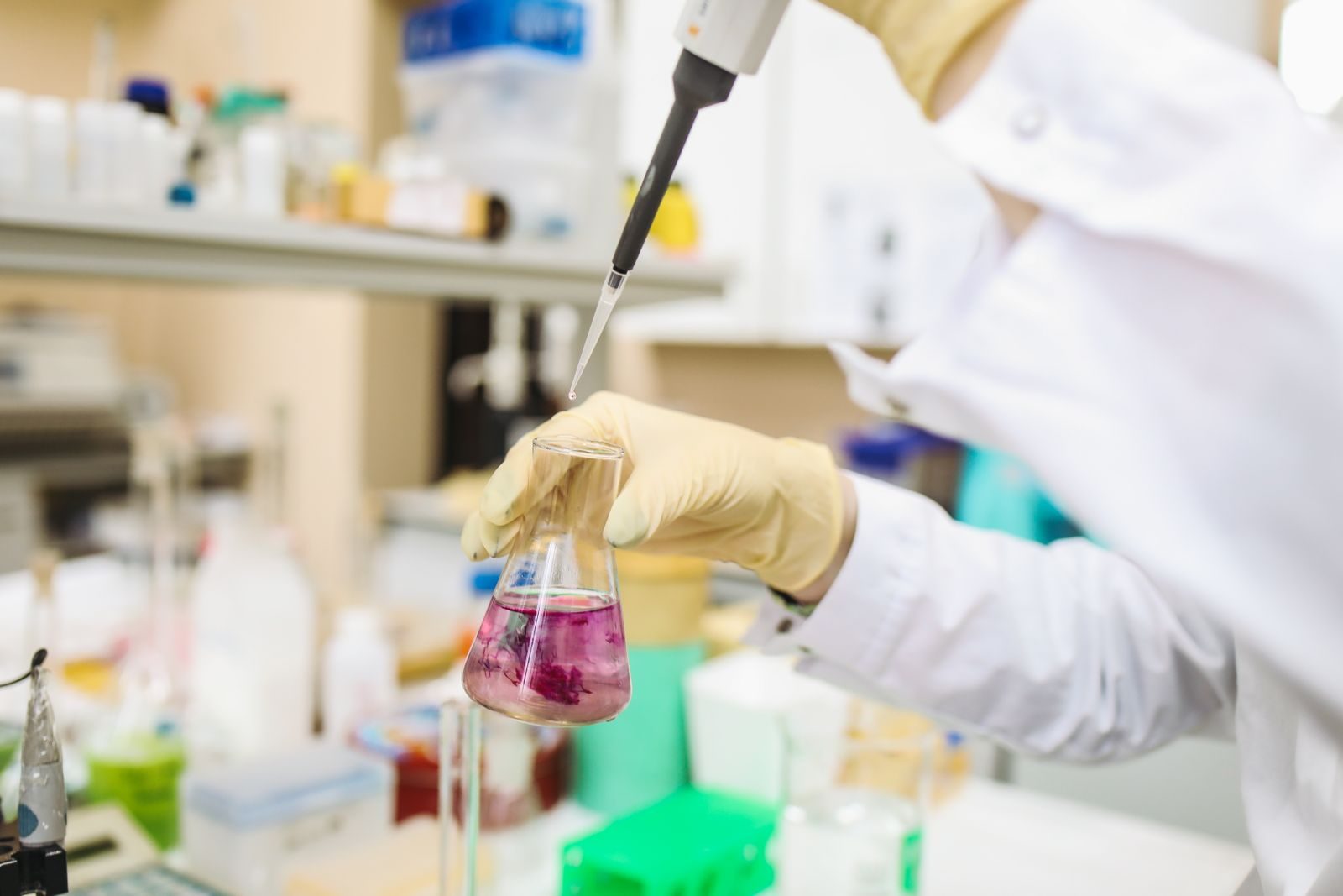 Une main gantée en blouse blanche dépose une goutte à la micropipette dans une fiole Erlenmeyer contenant une solution rose, sur une paillasse de laboratoire.